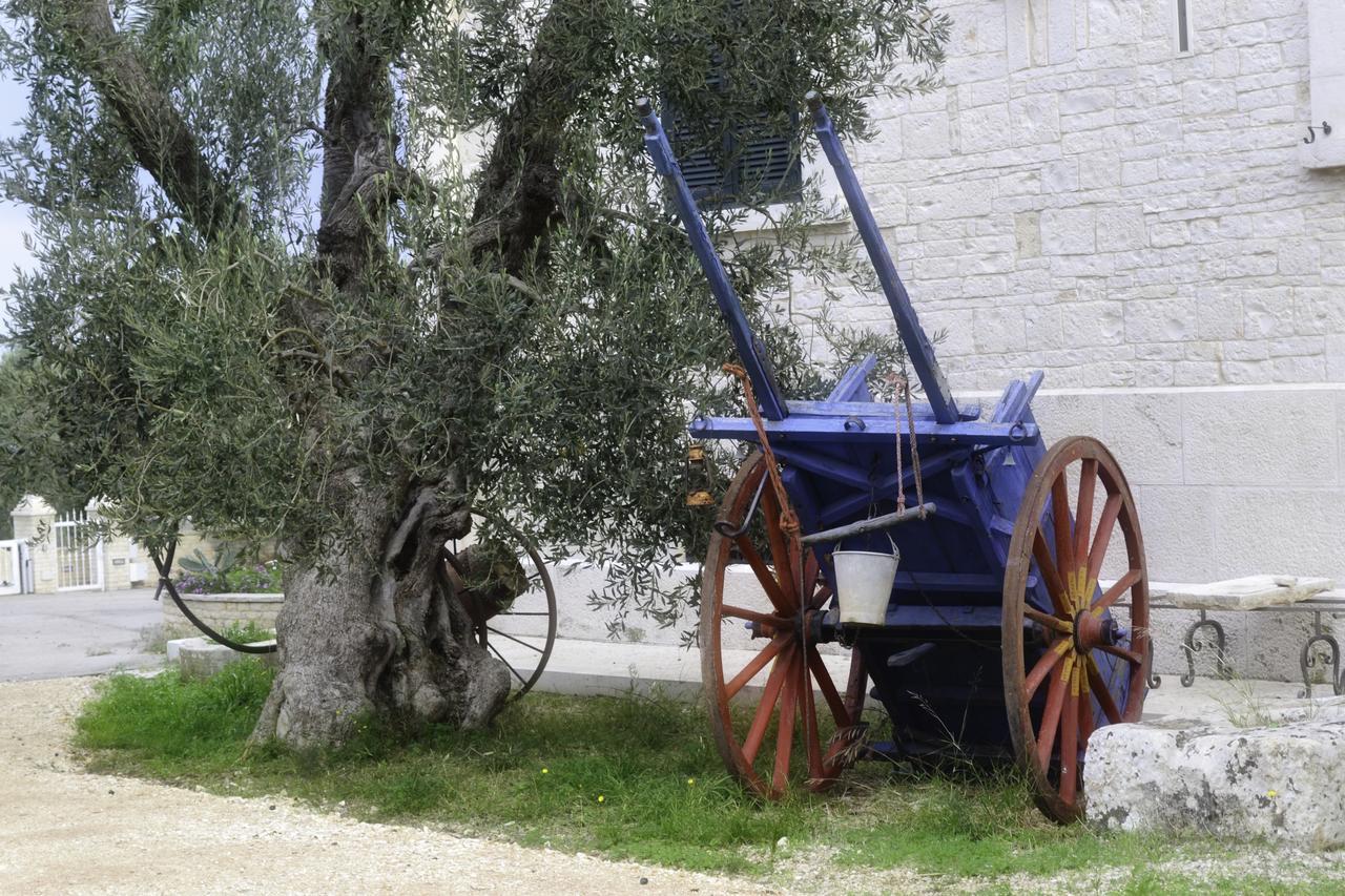 Tenuta Lama Gorga Trani Luaran gambar